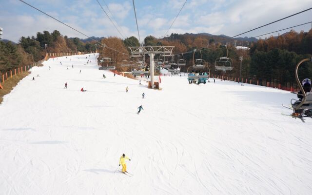 Bears Town Resort