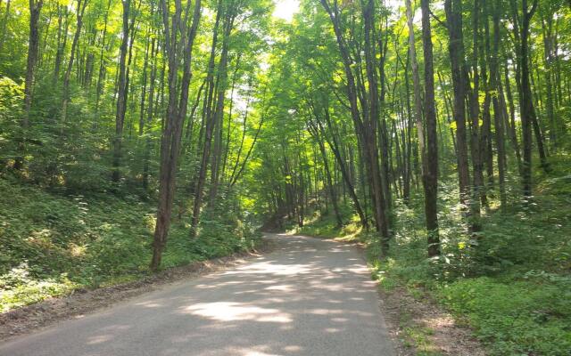 Forks in the Trail Bed & Breakfast