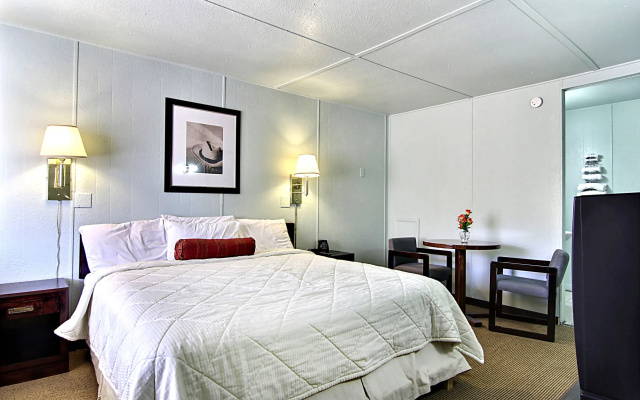 Route 66 Inn