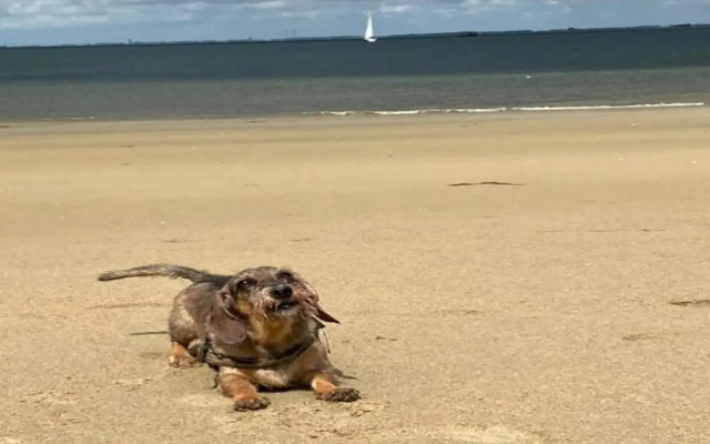 Villa Oesterdam Wellness 10 Persons