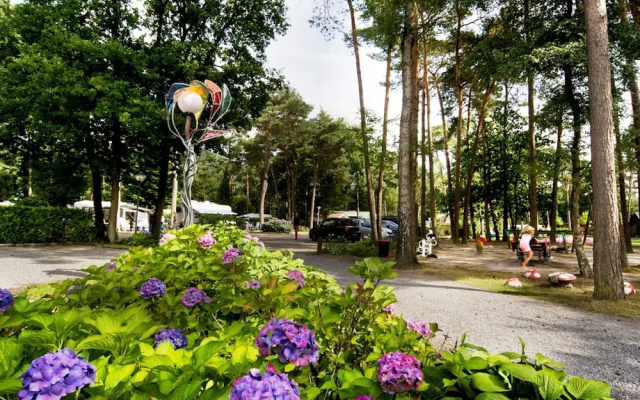 Furnished Chalet near Oisterwijkse Vennen