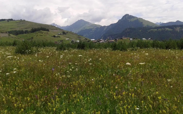 Hotel Tusheti