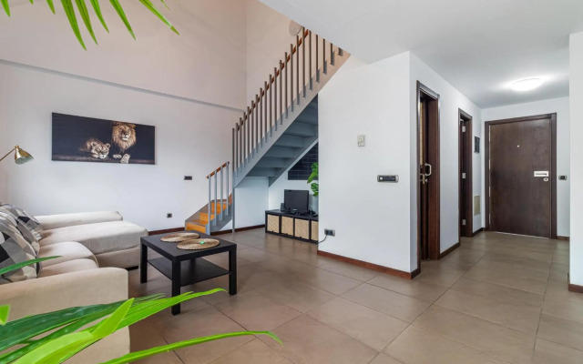 Flatguest Tabaiba II