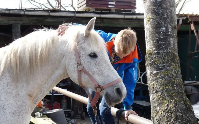 at the Organic Farm Angus-hof