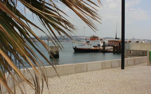 Pássaro do Fogo