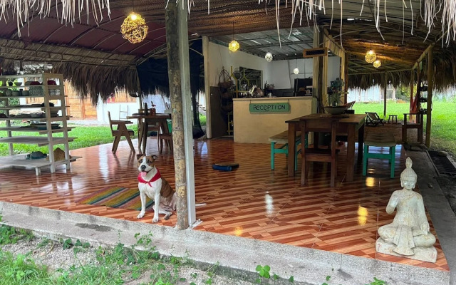 Tree of Life - Hostel