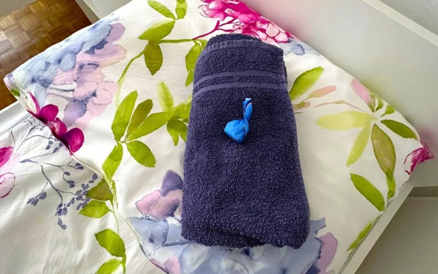 Apartment Near Schonbrunn Palace Vienna