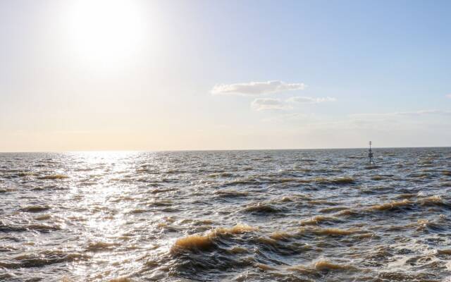 Sea Breeze