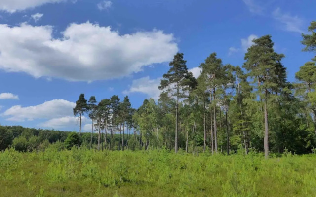 Zonnebos, private garden, fresh air, relax!