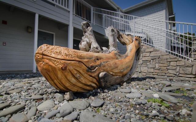 Pacific Reef Hotel & Light Show