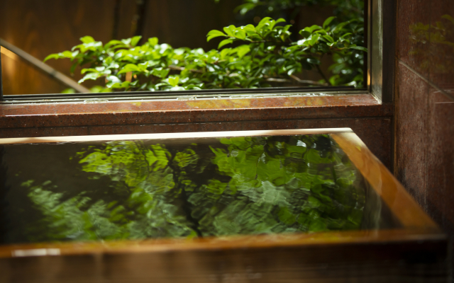 Iwamuro Onsen Menmentei Wataya