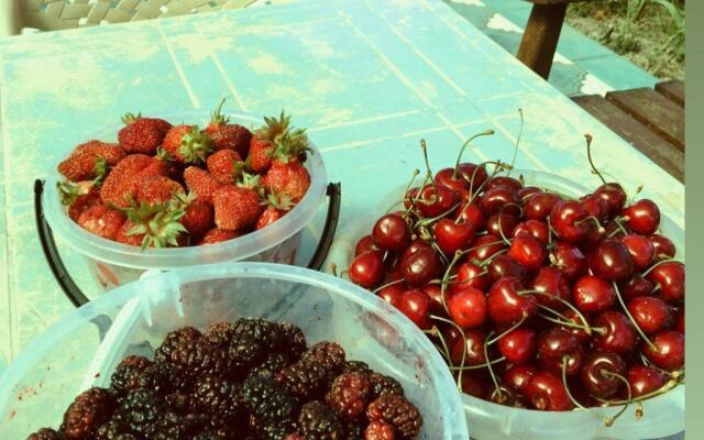 Гостевой дом у Заиры