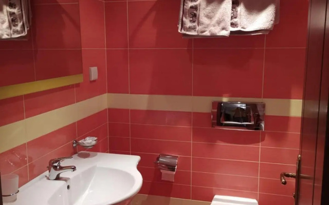 BOROVETS Royal Plaza - A405