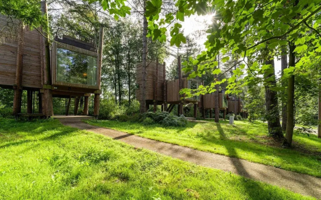 Stylish Retreat With Sauna