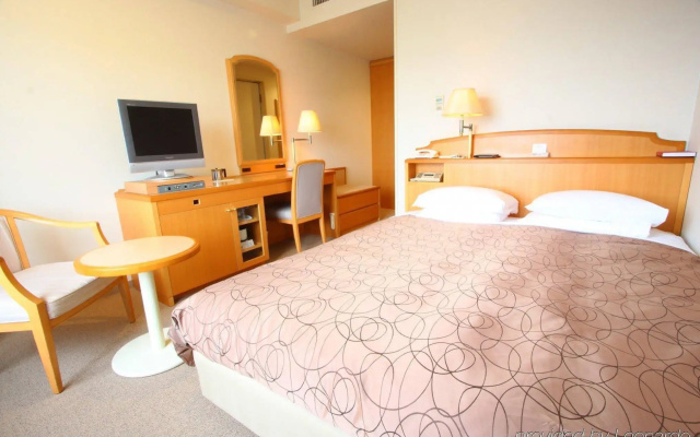 Hotel MyStays Matsuyama