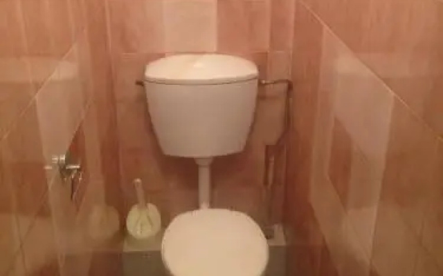 Виолетта на Ленина — фото