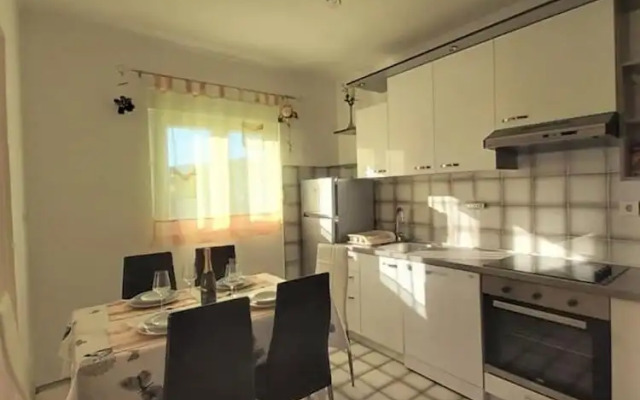 Dani - Free Parking - A1