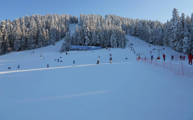 Flora Ski-slope Studio Apartment