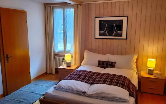 The Hotel Alpina