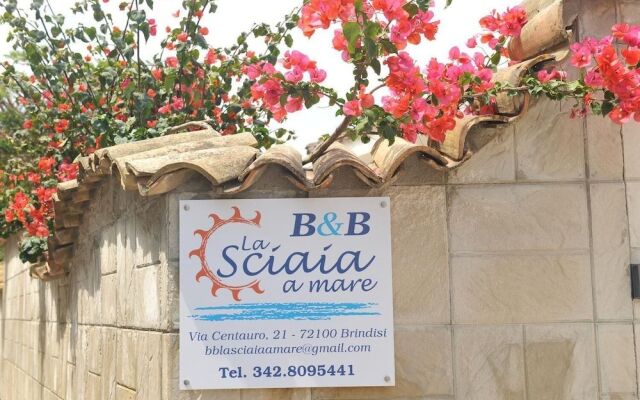 B&B La Sciaia a Mare