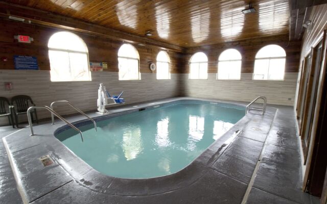 Super 8 Ohare Chicago Elk Grove Village