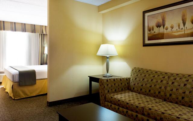 Holiday Inn Express Hotel & Suites DFW Airport South, an IHG Hotel