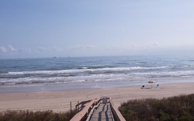 Happy Starfish LCV36