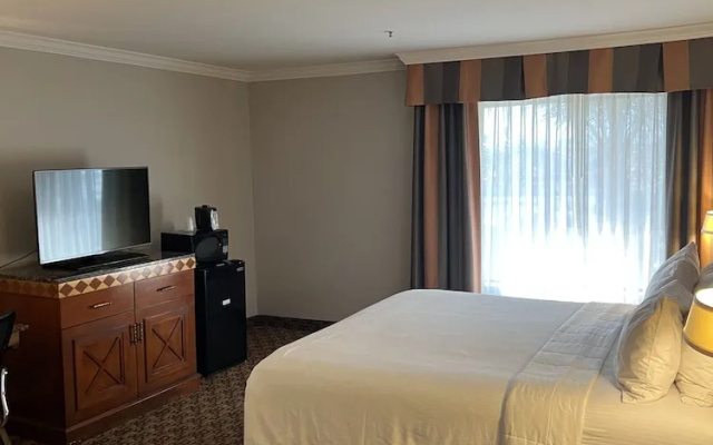 Hotel Xola