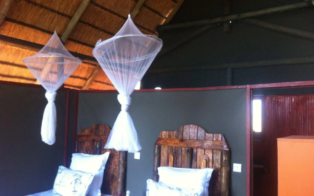 Lion Roars Lodge