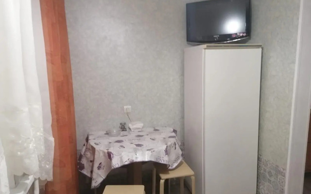Apartments on Chekhov street 2B