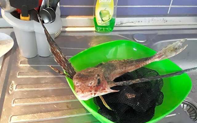 ResidenceU ZU GNAZIU