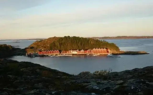 Angelamfi Hitra