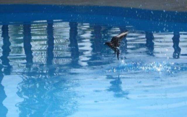 Pinamar Hotel & Resort