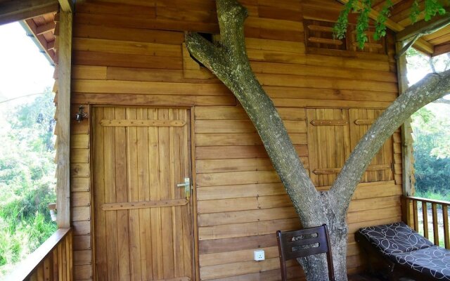 Wilpattu Tree House Hotel