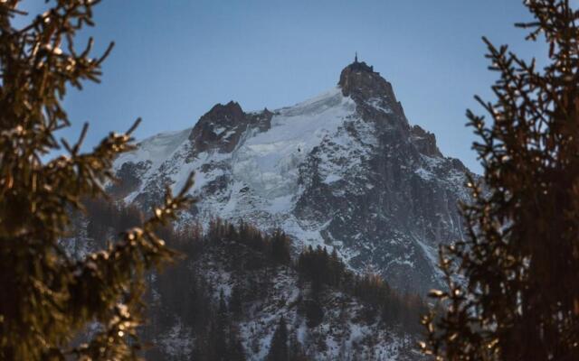 Appartement Chamonix-Mont-Blanc, 1 pièce, 4 personnes - FR-1-517-40