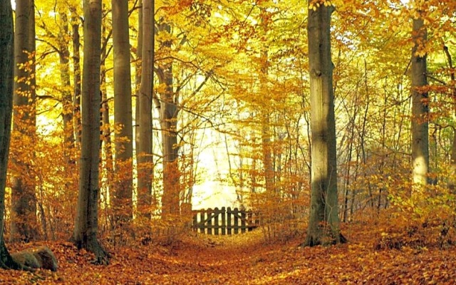 Mundi Park Łagów