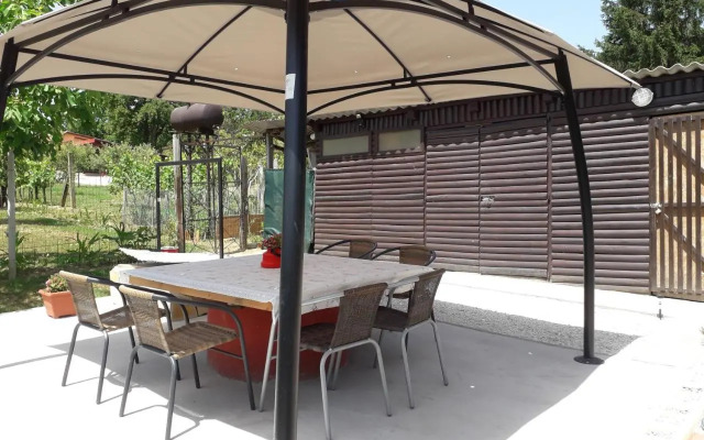 Diófa Kuckó Apartman