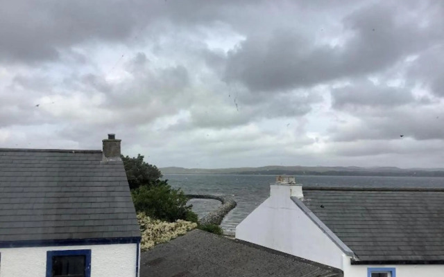 The Island Bear B&B