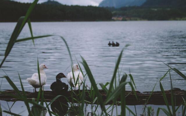 The Lake House Dalat - Hostel