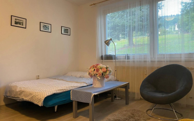 Slunný byt 2 a kk v Jizerkách