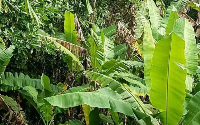 Pousada Casa no Tombo