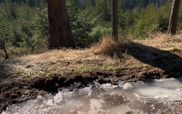 Schwarzwald-Blick Lenzkirch-Saig