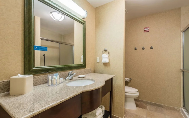 Hampton Inn  Suites Orlando-South Lake Buena Vista