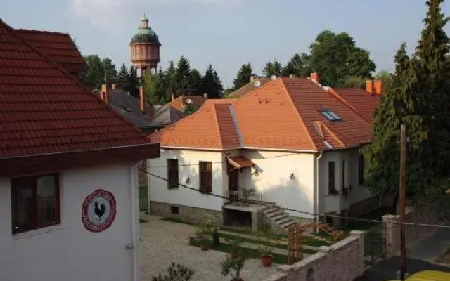 Il Gallo Nero Fekete Kakas tterem s Panzi