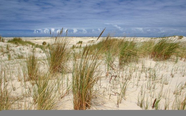 Künstlerherberge Spiekeroog