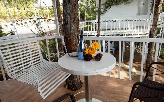 Pine Hill Homestay Dalat
