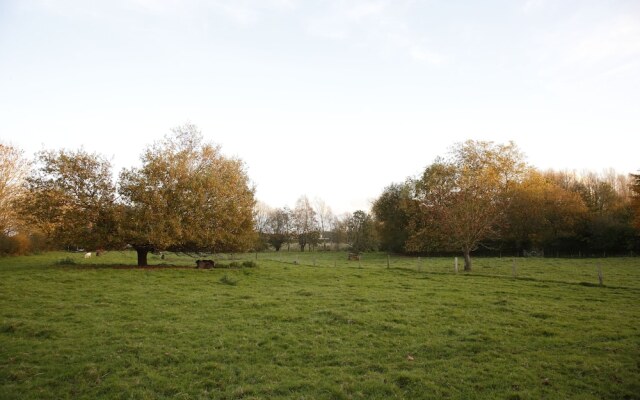 Saddlers