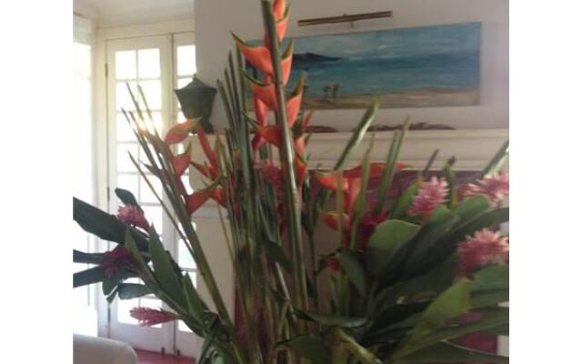 Casa Grande de São Vicente