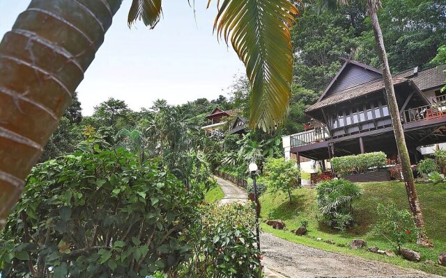 Patong Hill 3