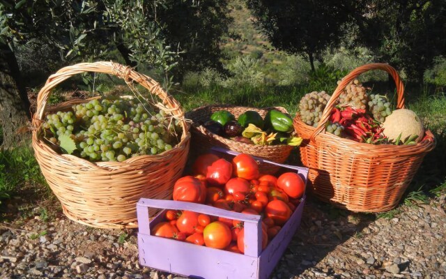 Agriturismo Campo di Luna